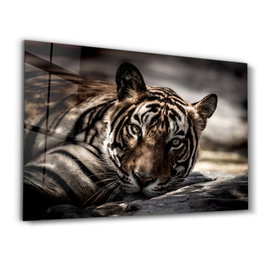 Wallity Pintura Decorativa de Vidrio Templado Multicolor 70 x 110 cm